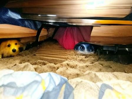Eerie Figure Under the Bed