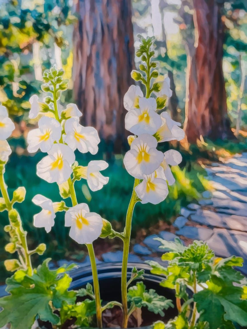 Delicate White Snapdragons in Vibrant Watercolor