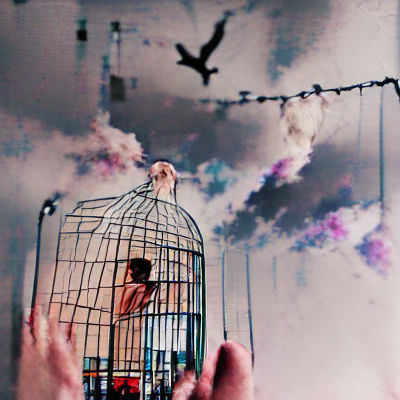 Empty Birdcage: A Metaphor for Freedom