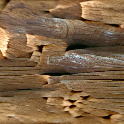 Detailed Natural Wood Grain Texture