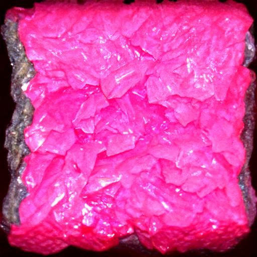 Blathering Blatherskite