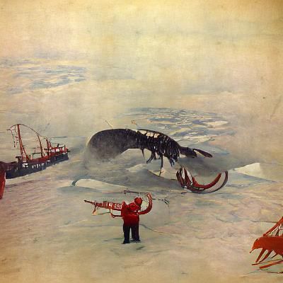 Lobster Whale Fight in Arctic Ocean, Vintage Illustration