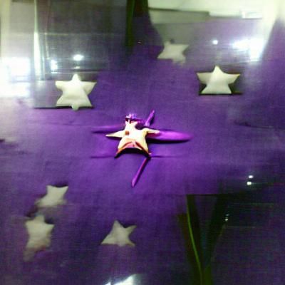 Vibrant Purple Star Against Dark Backdrop