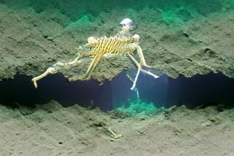 Eerie Skeleton in the Dark