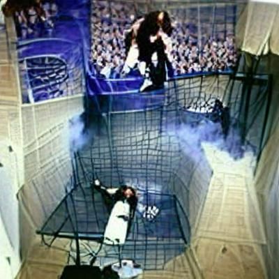 Wrestling Action: High Fall From the Cage