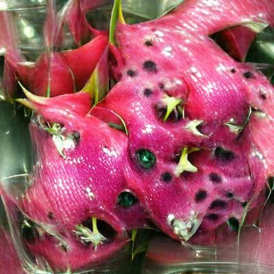 Exotic Dragon Fruit Still Life