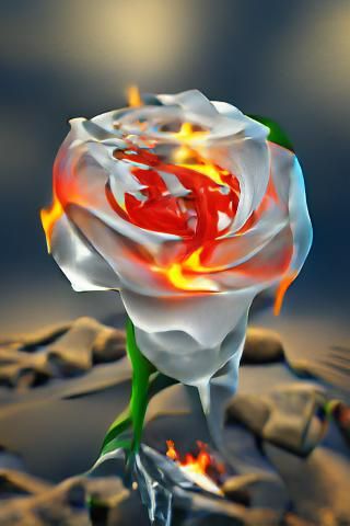 Fiery Rose: 8K 3D Artwork