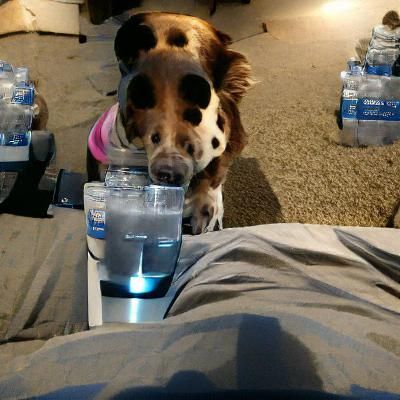 AI Realization of Thirst
