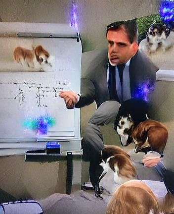 Dogs Learn Quantum Physics: An AI Render