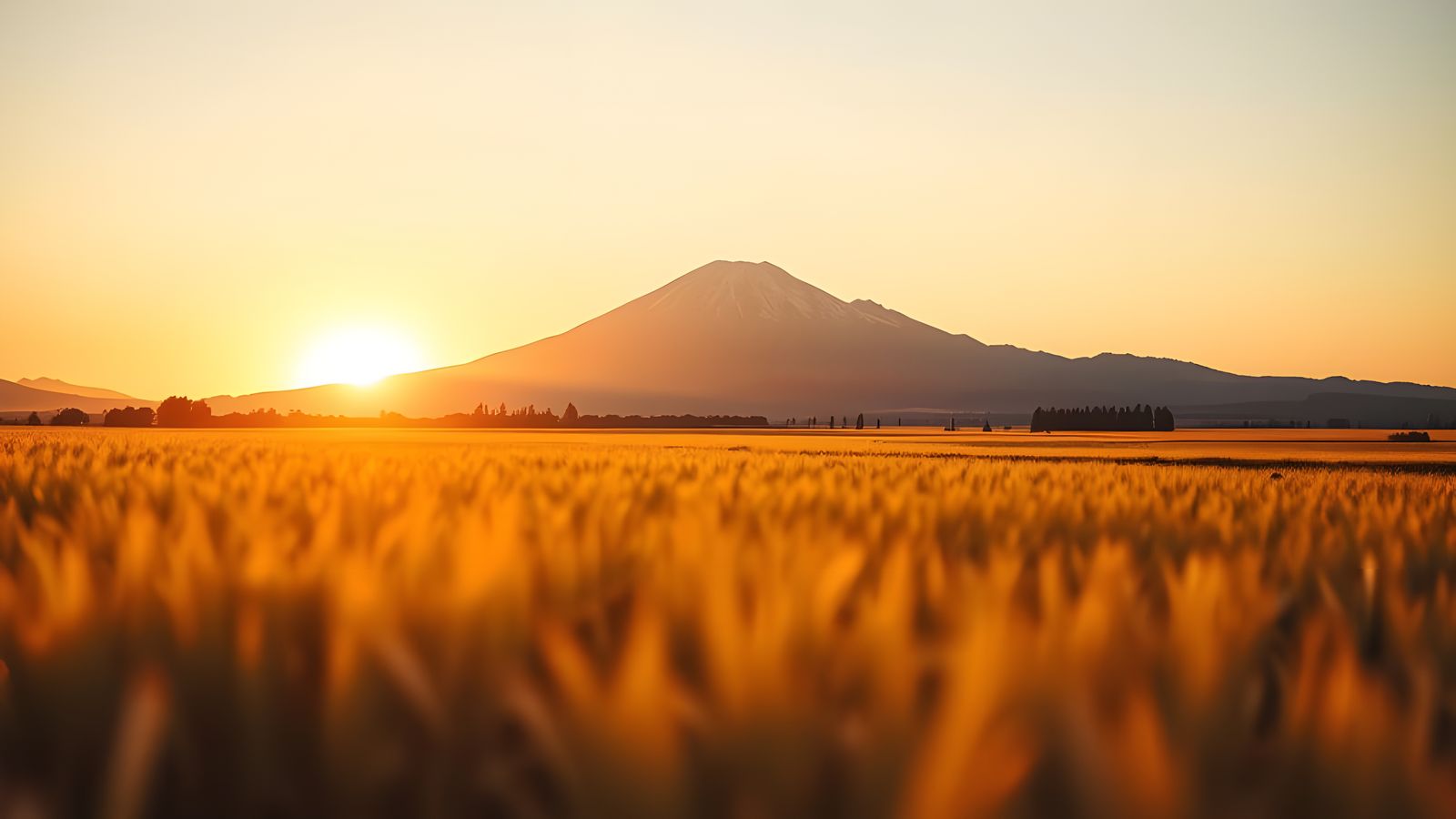 Golden Field and Mountain in Painterly Style