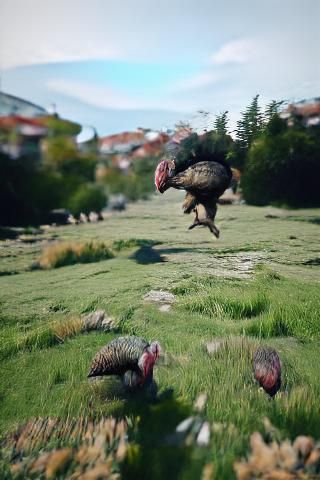 Giant Killer Turkey Chase: Hyperrealistic Film Still