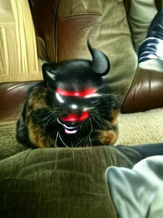 Fiery Devil Cat in a Hellscape