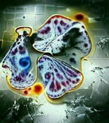 Abstract AI-Generated Image from Simple Prompt