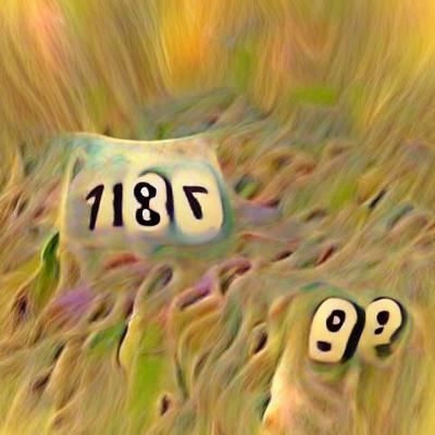 Abstract Visualization of an Incomprehensible Number