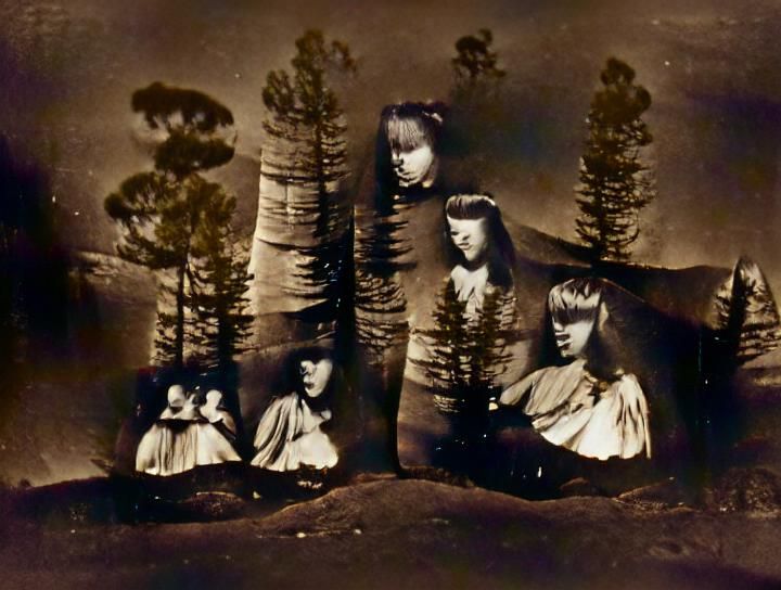 Four Sisters Portrait with Ponderosa Pines