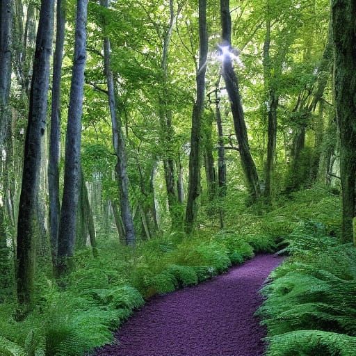 Sun-Drenched Forest Path Through Lush Ferns
