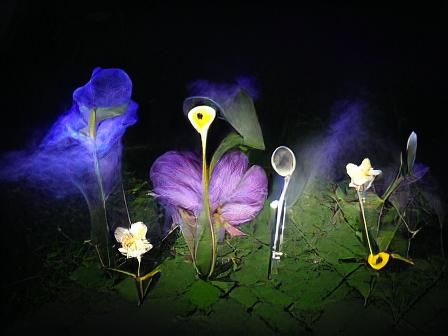 Moonlit Flowers: A Digital Art Exploration