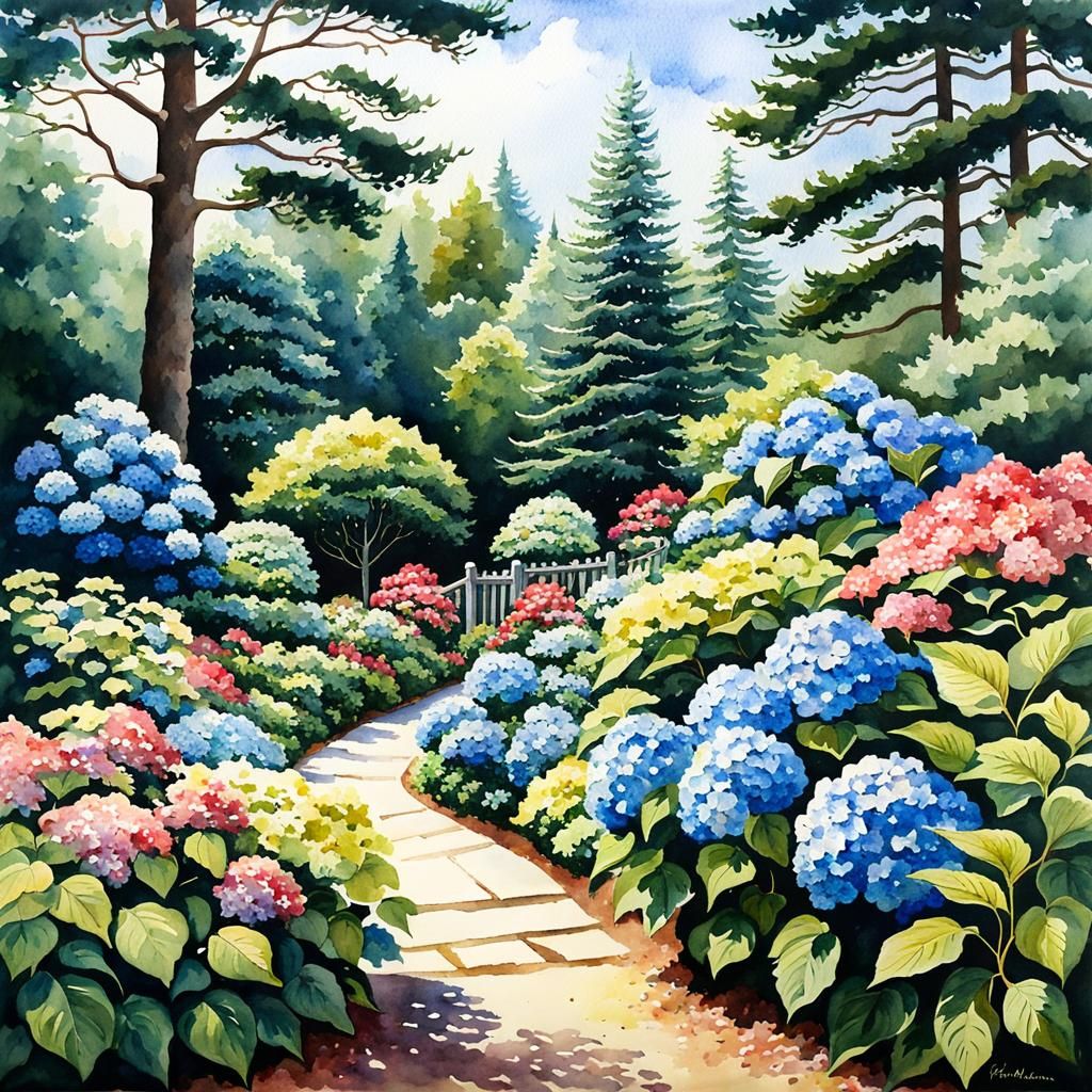 Hydrangea garden
