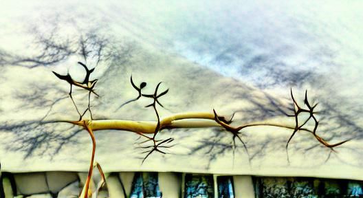 Branches Reach Upward into Light
