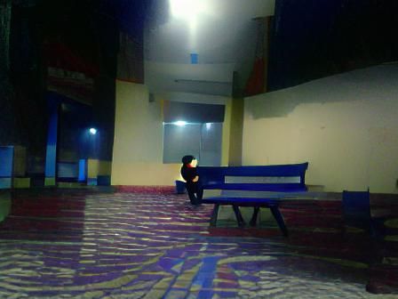 Solitary Silhouette: An Image of Aloneness