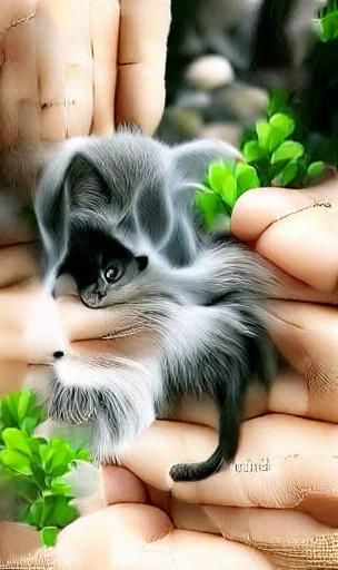 Misty Mountain Landscape with Tiny Cat