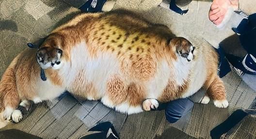 AI Image Generated From a Blank Prompt