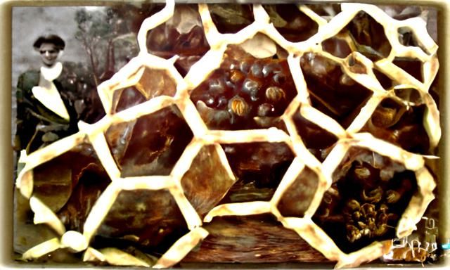 Honeycomb: Detailed Oil Painting on Canvas