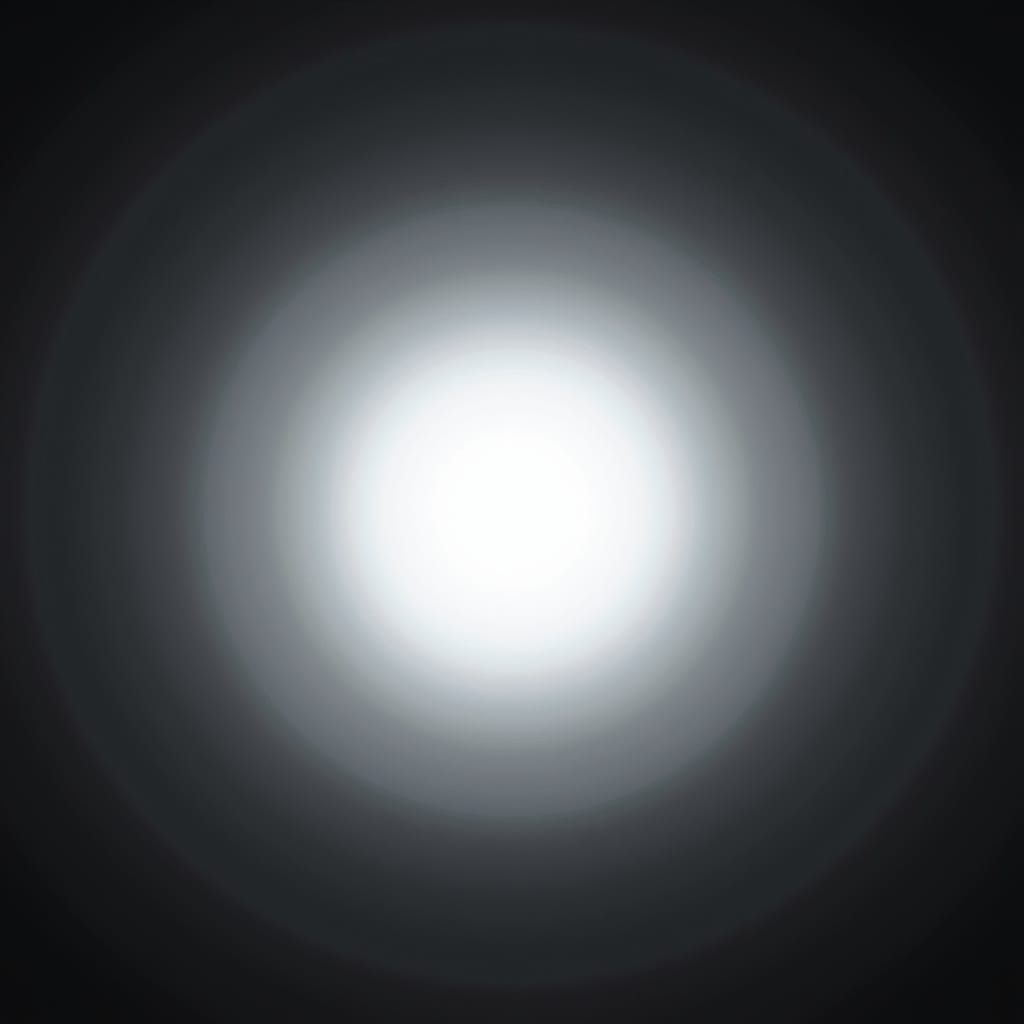 Oh say can you see By the dawnzer lee light