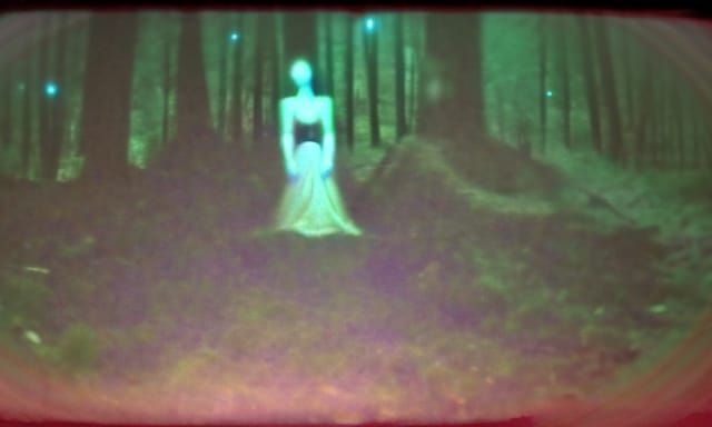 Ethereal Trailcam Footage in Low-Resolution Night Vision