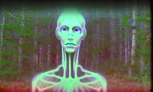 Ethereal Trailcam Footage of Unexplained Cryptid