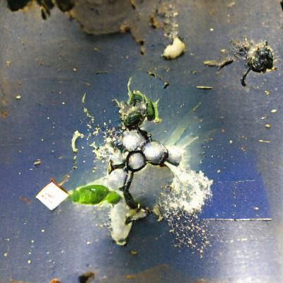 Abstract Organic Catalyst