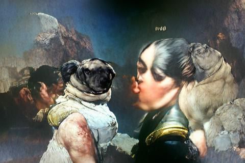 Charming Portrait of a Kissy-Faced Pug