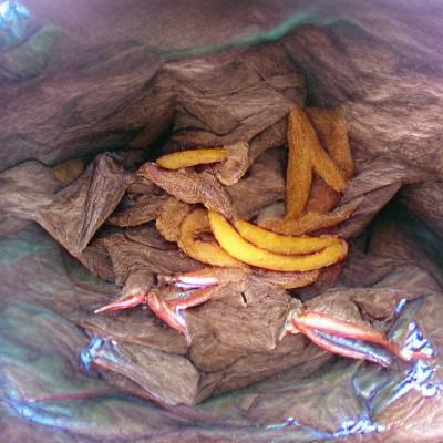 Jibaritos Fritos