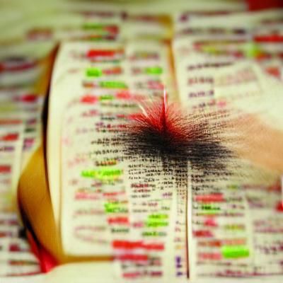 Abstract Humiliation of the Word Visualized