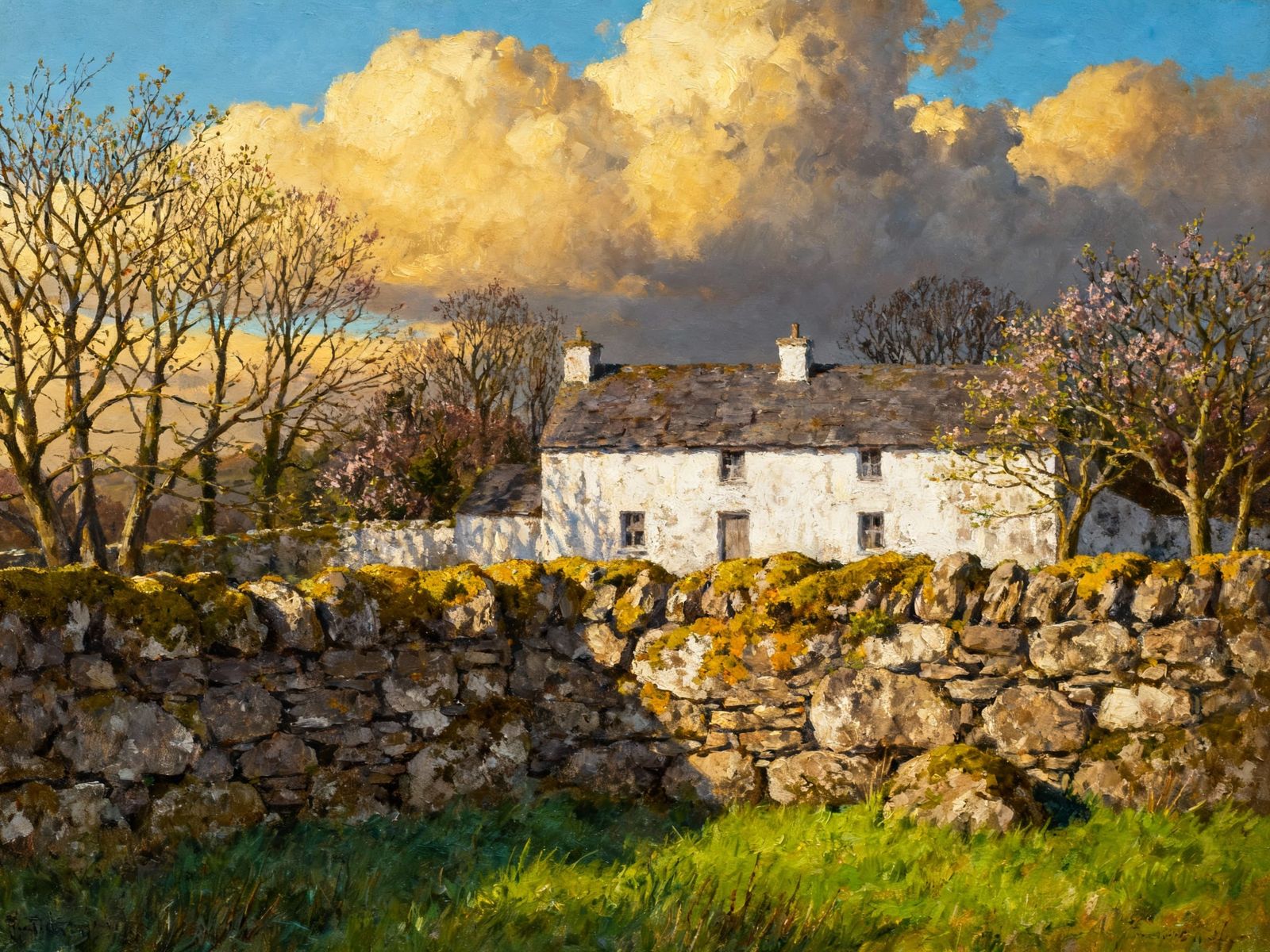 18th Century Irish Cottage Behind Stone Wall in Spring Sunli...