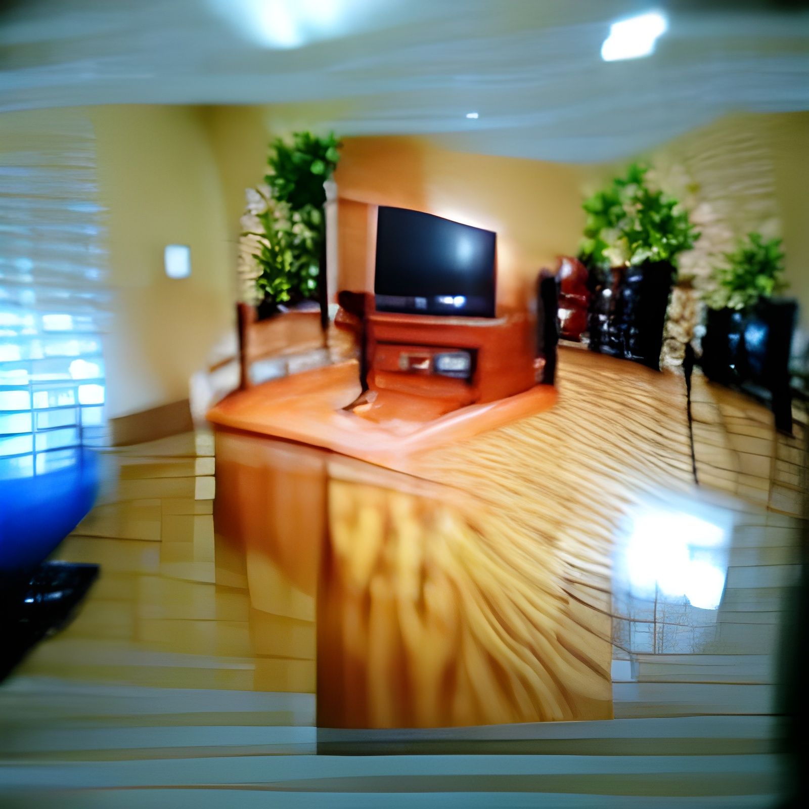 Professional Photo of a Home Entertainment Center