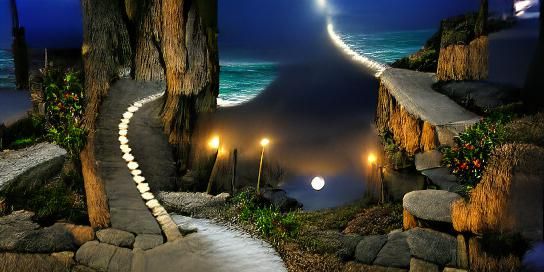 Moonlit Path by the Ocean
