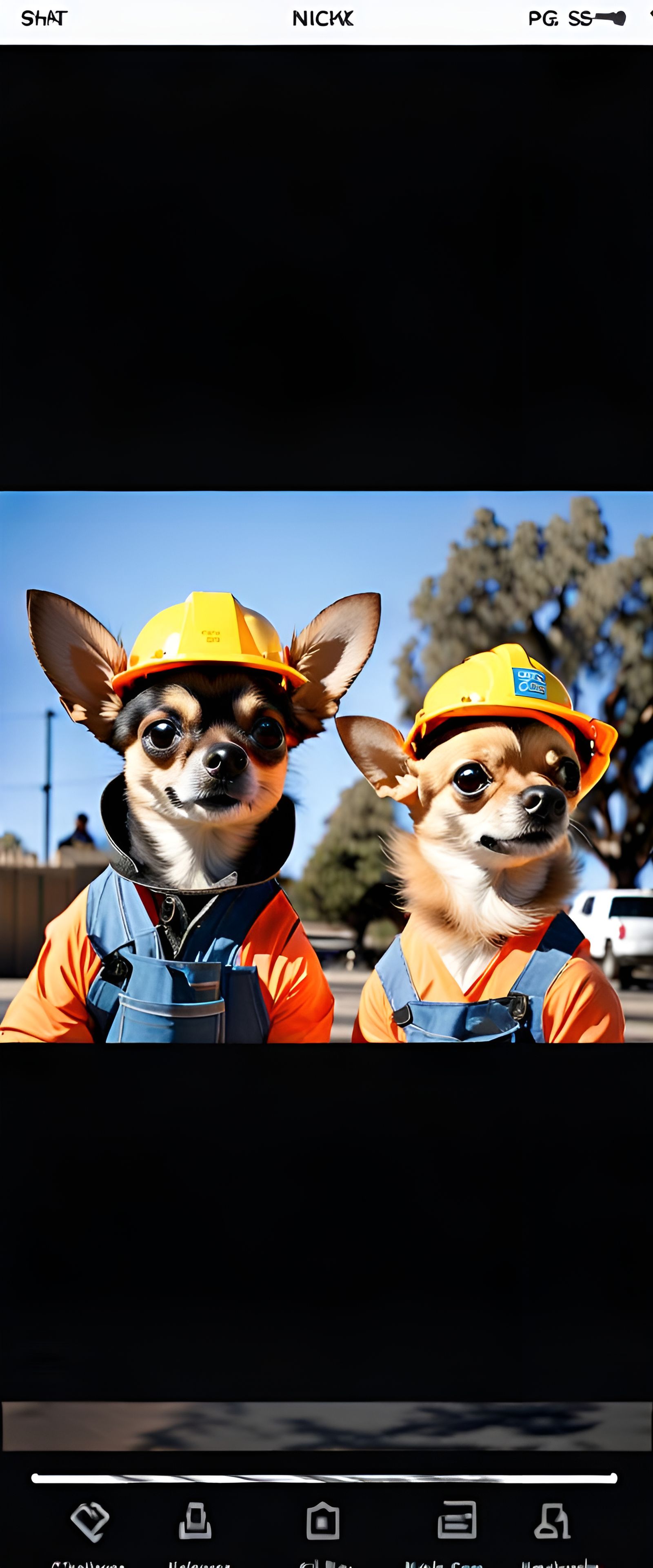 Chihuahua Construction Workers