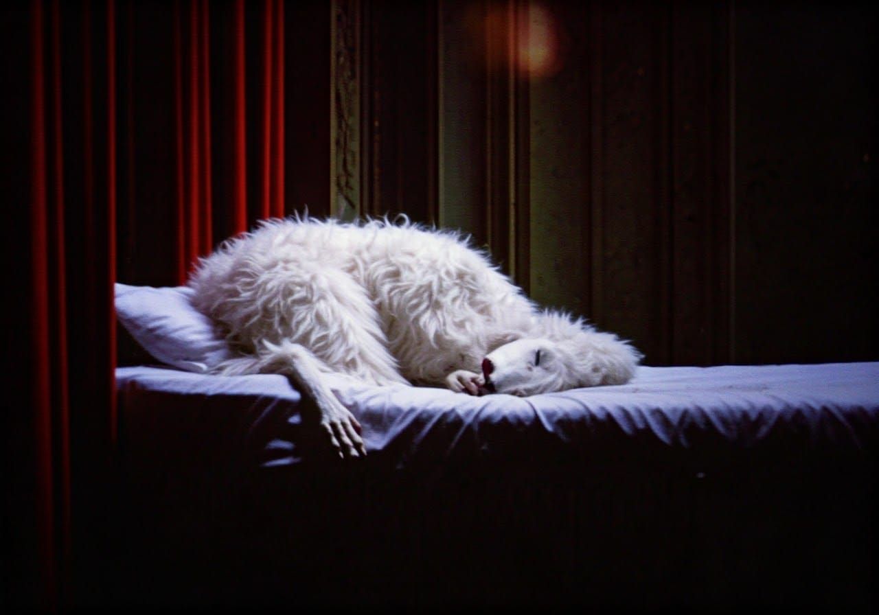 Sleep tight!