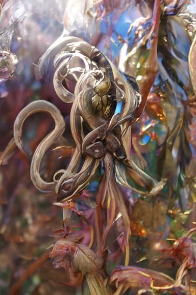 Surreal Two-Brained Octopus in Art Nouveau Style