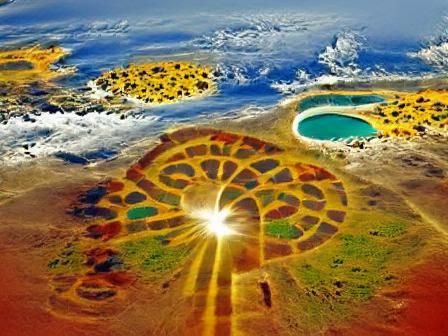 Majestic Lion at Sunset, Wildlife Photography