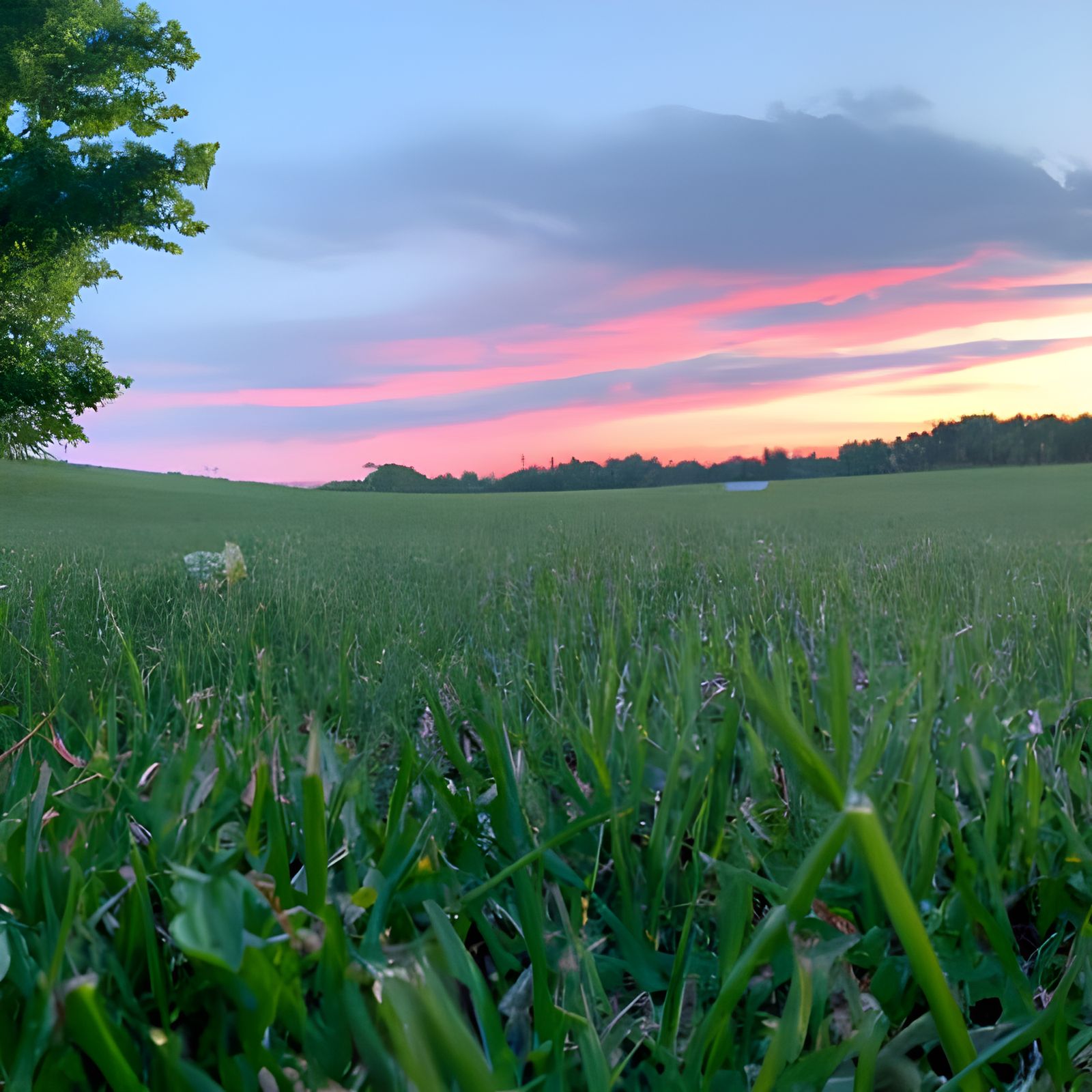 Ohio Rolling Fields at Sunset: Hyperrealistic Photography