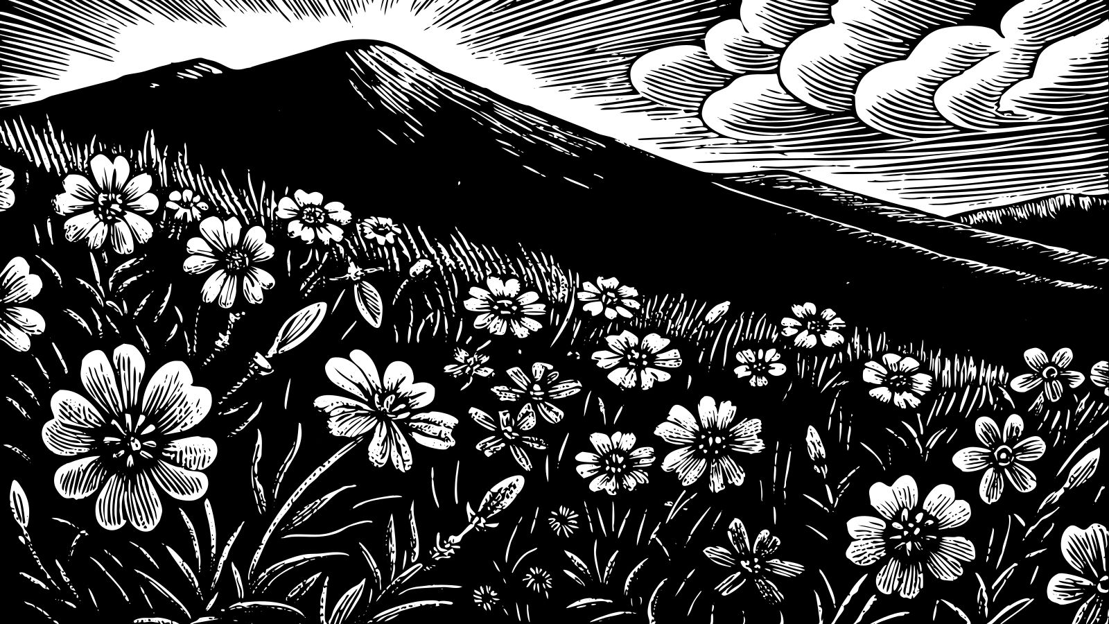 Vibrant Mountain Landscape in Full Bloom