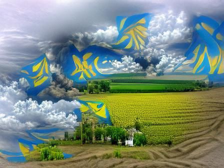 Vibrant Ukraine Flag Digital Art