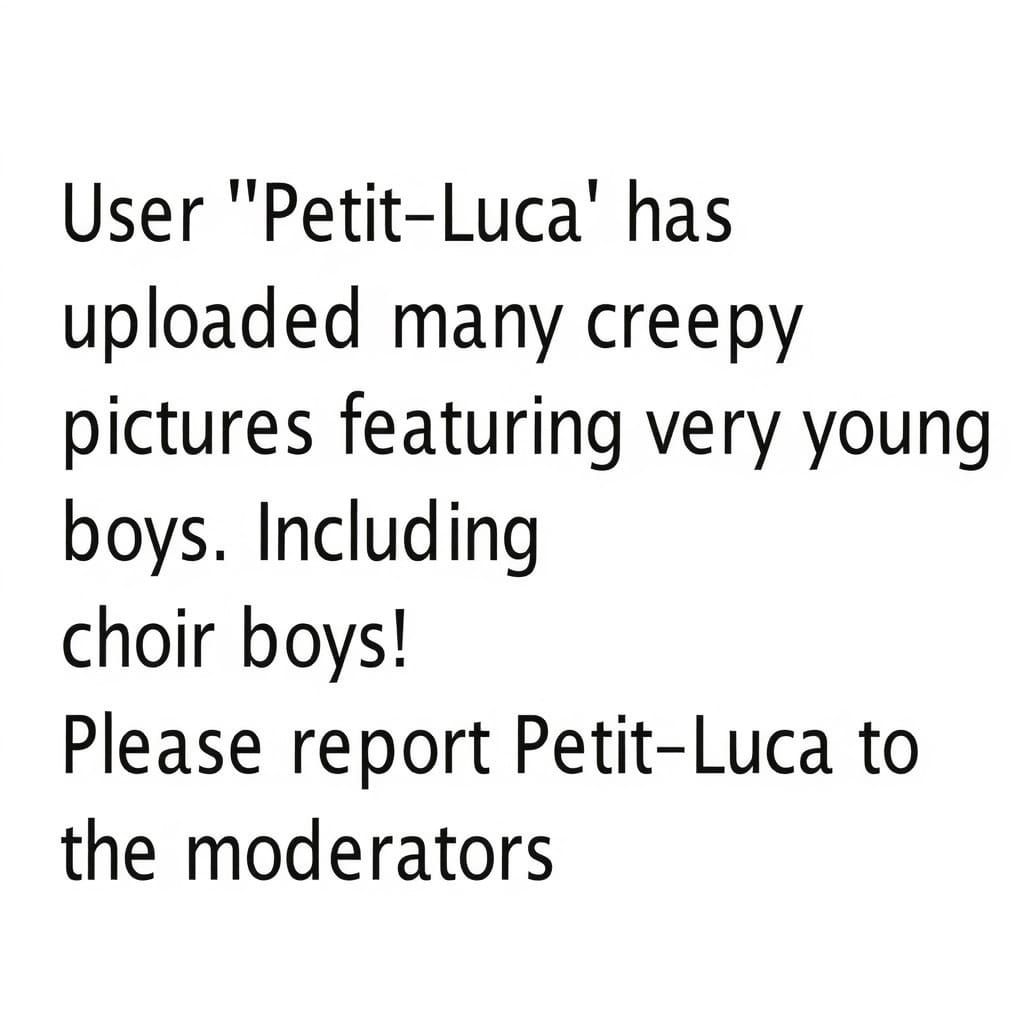 Official Warning: Report User Petit-Luca for Disturbing Cont...