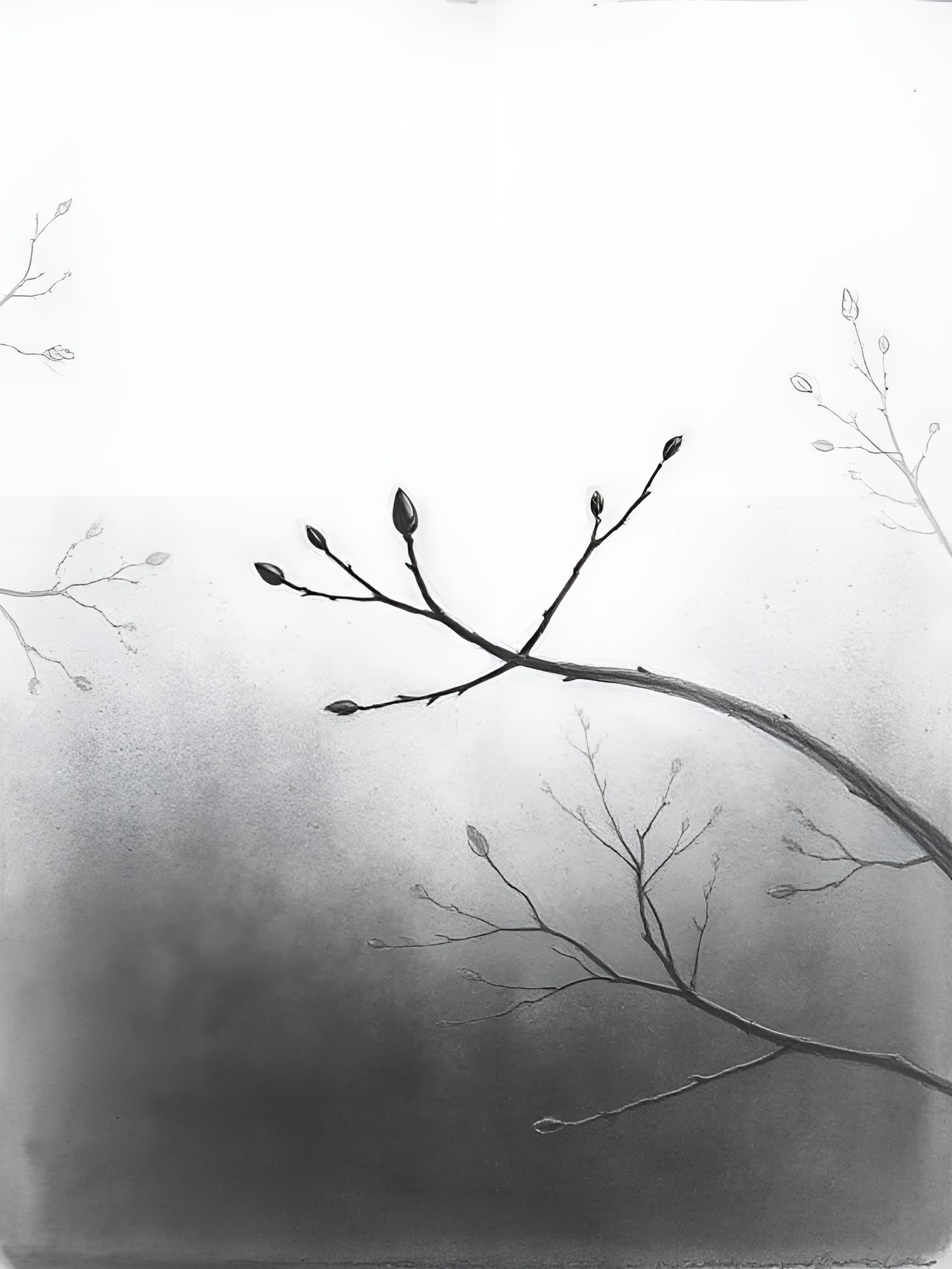 The delicate promise of new life . . .