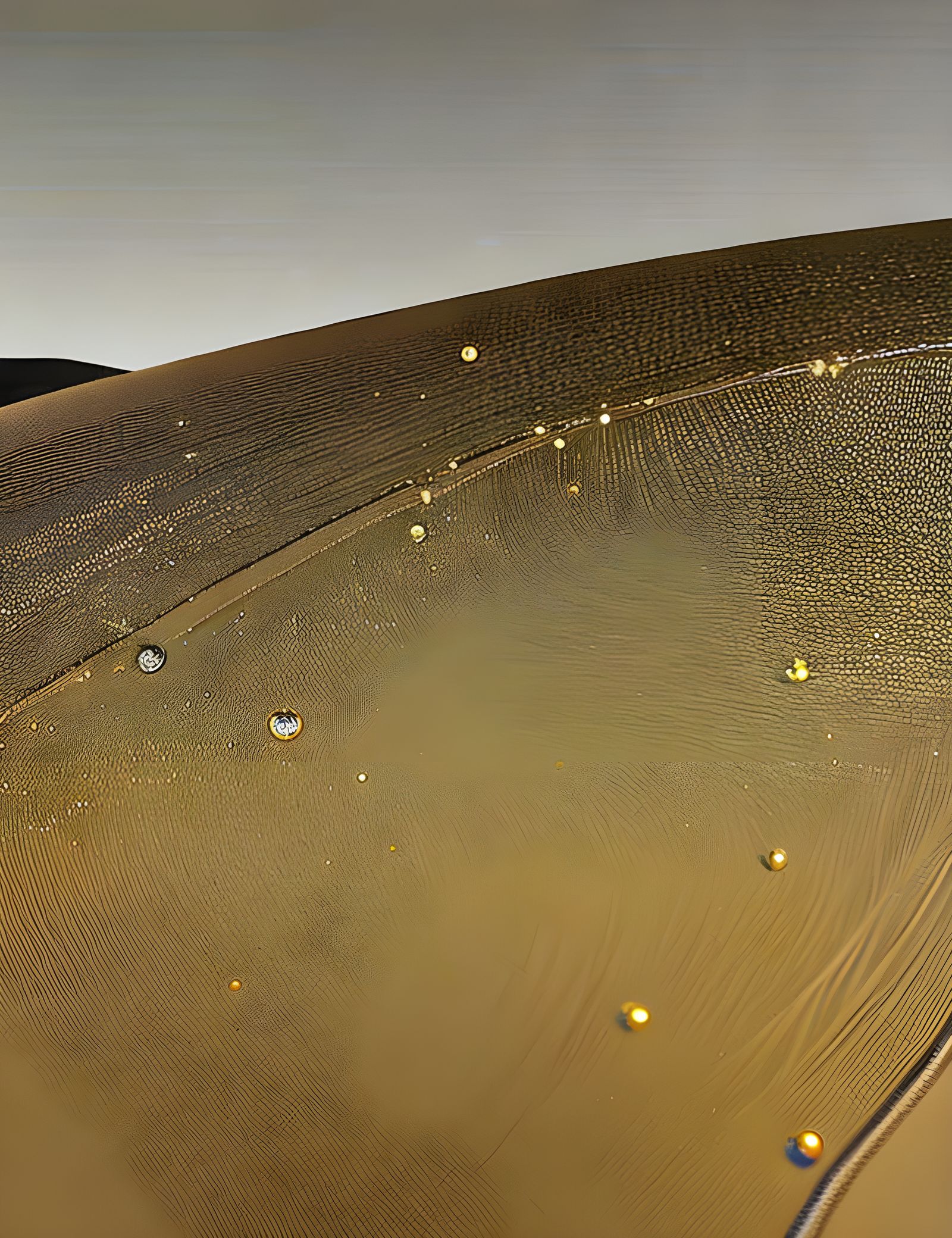 Pictorial History of Bipedal Beings: 3D Shading