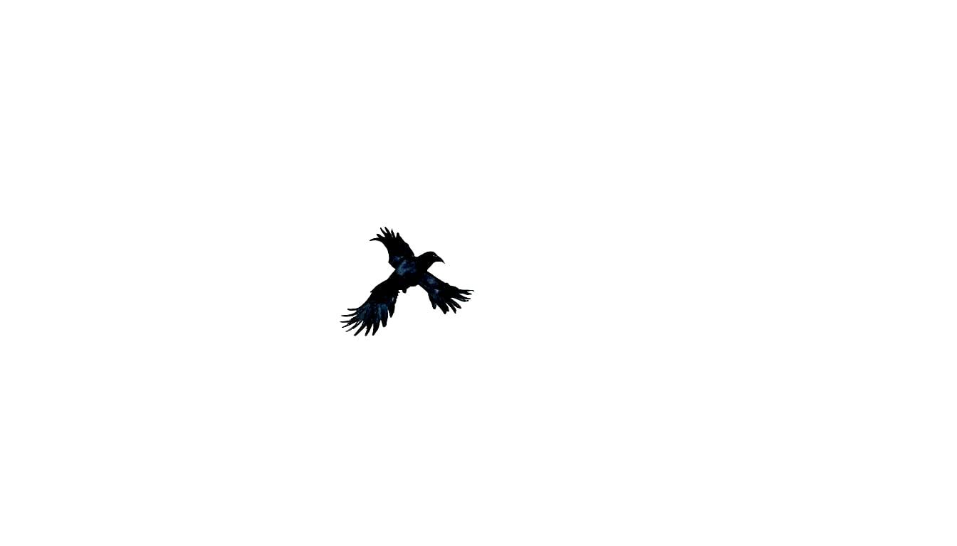 Minimalist Ink Drawing of a Black Crow