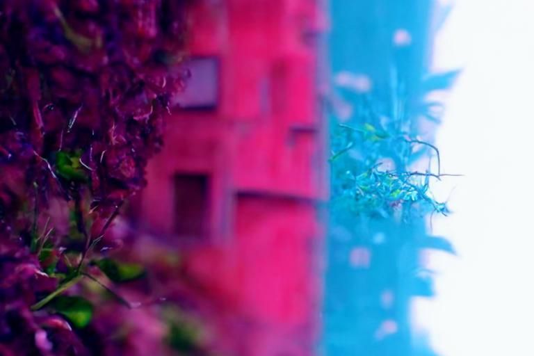 City Overgrown with Vines and Moss