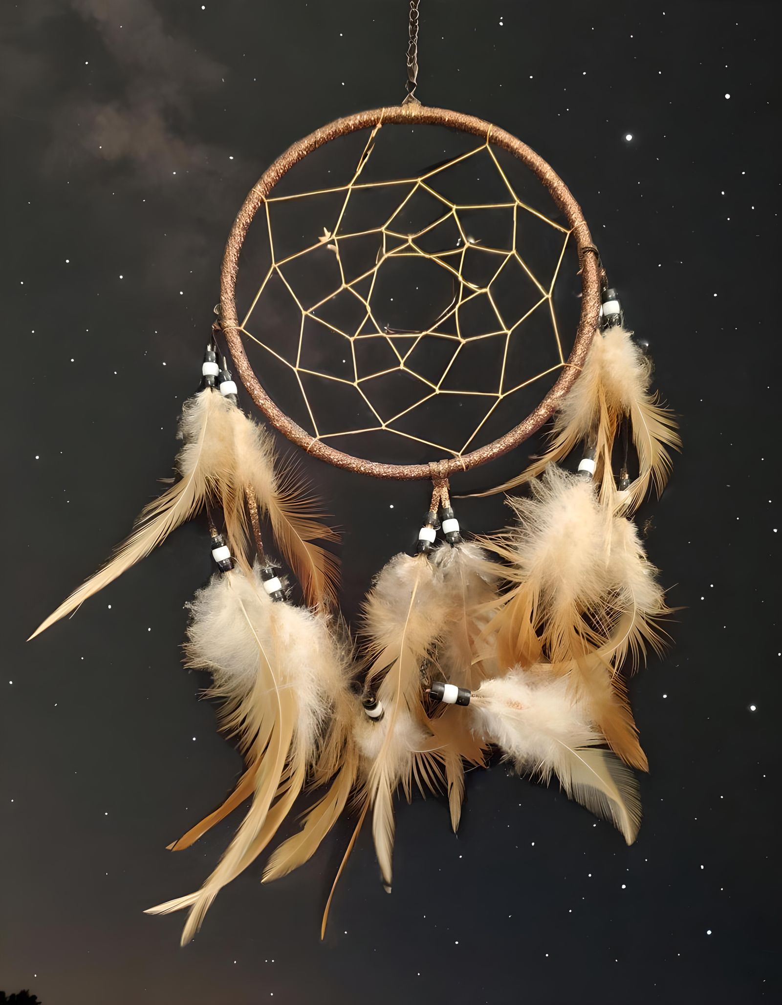 Dream Catcher